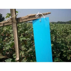 Made in India Blue Sticky Trap(Pack-25 Pcs)